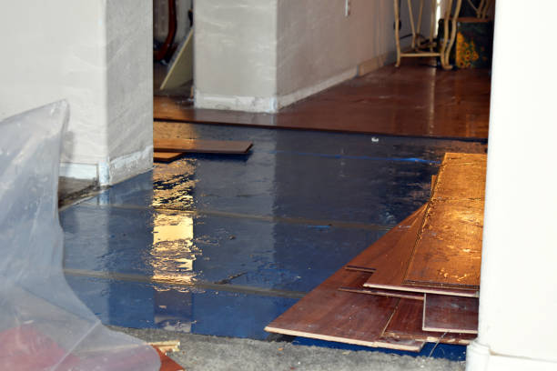Professional Water Damage Restoration technician working in Orcas, WA